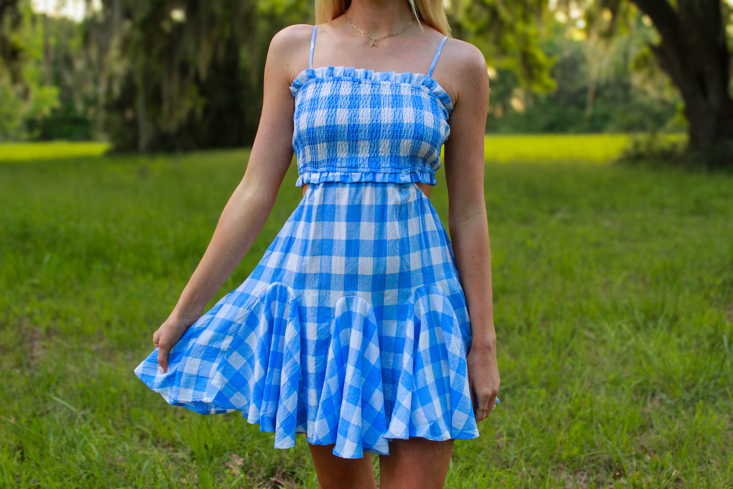 Blue Gingham Smocked Dress
