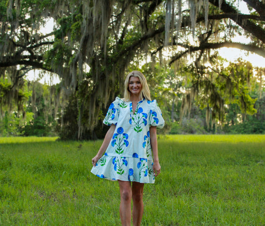 Isabel White and Blue Floral Dress