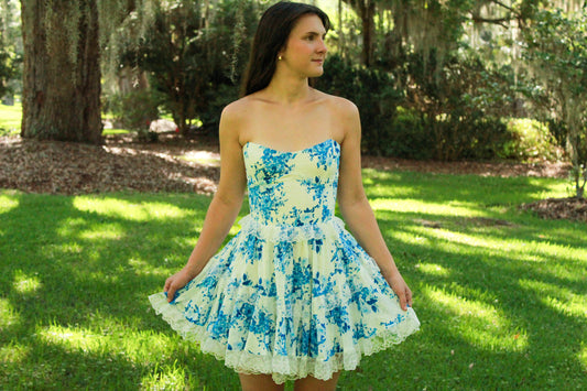 Florin Blue and White Lace Mini Dress