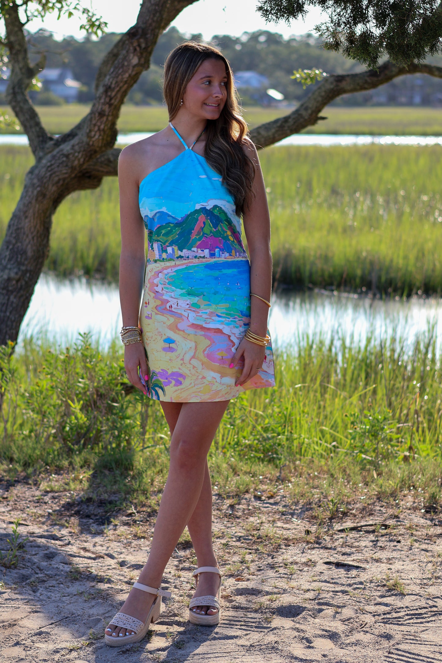 Maddie Multi Color Mini Halter Dress