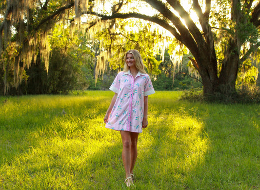 Pink Stripe and Floral Dress